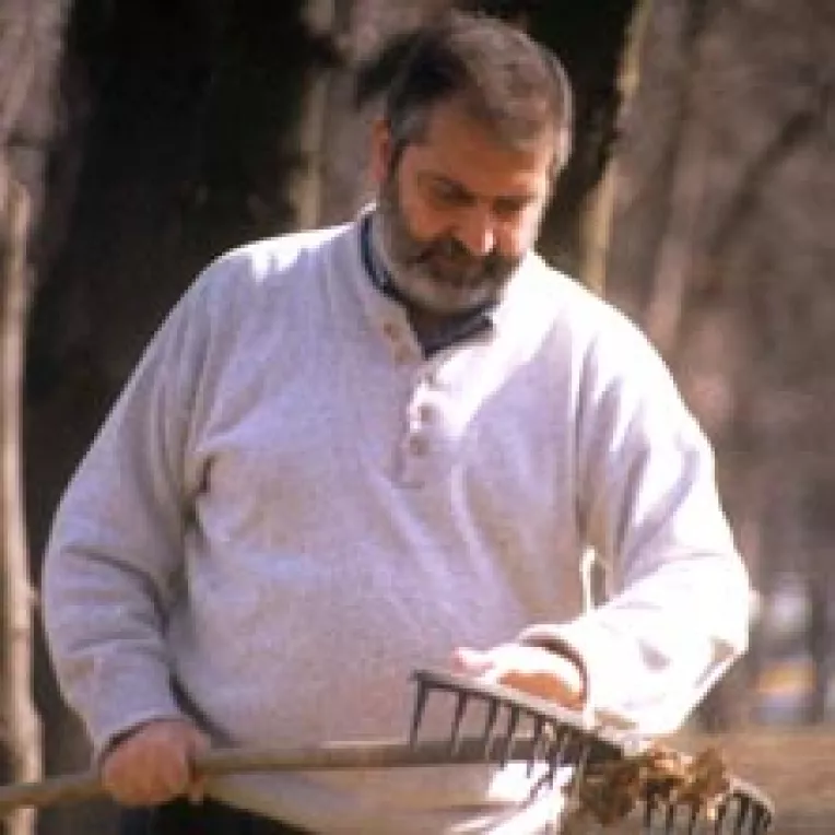 Trei partide in vartejul curentului popular