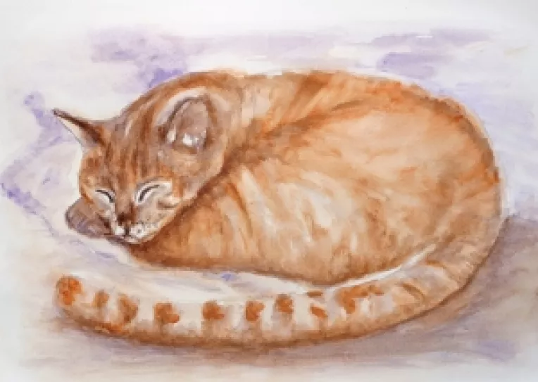 Un motan poate sa ramana singur in casa cateva zile?