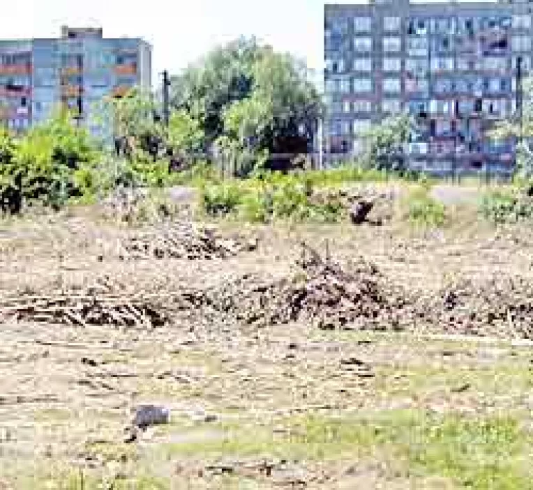 Verde la defrisarea spatiilor verzi, pentru ca legile sunt prost facute